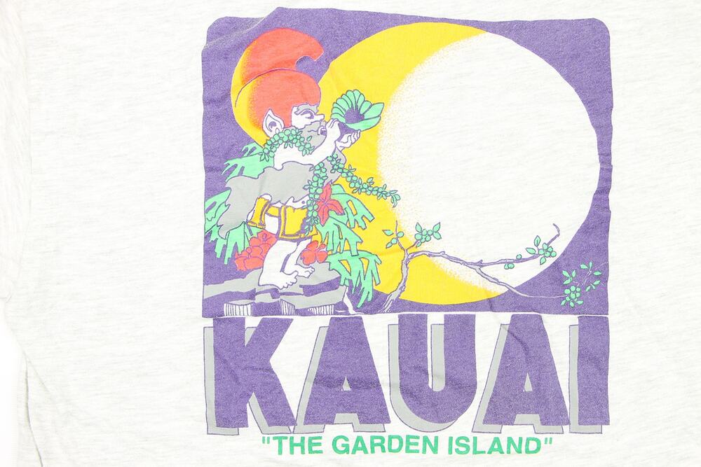 90s Vintage Kauai The Garden Island Tee Heather Gray M